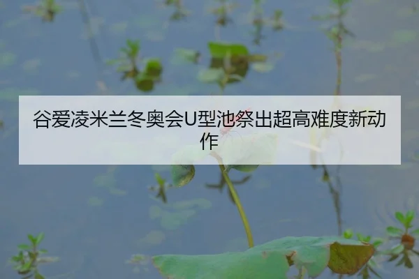 gu-ai-ling-mi-lan-dong-ao-hui-xing-chi-ji-chu-chao-gao-nan-du-xin-dong-zuo-3-418.jpg