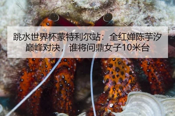 tiao-shui-shi-jie-bei-meng-te-li-er-zhan-quan-hong-chan-chen-yu-xi-dian-feng-dui-jue-shui-jiang-wen-ding-nv-zi-mi-tai-2-838.jpg
