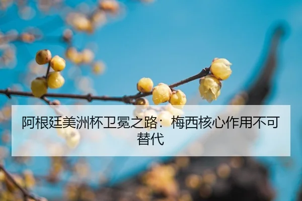 a-gen-ting-mei-zhou-bei-wei-mian-zhi-lu-mei-xi-he-xin-zuo-yong-bu-ke-ti-dai-2-560.jpg