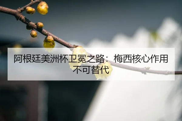 a-gen-ting-mei-zhou-bei-wei-mian-zhi-lu-mei-xi-he-xin-zuo-yong-bu-ke-ti-dai-3-535.jpg
