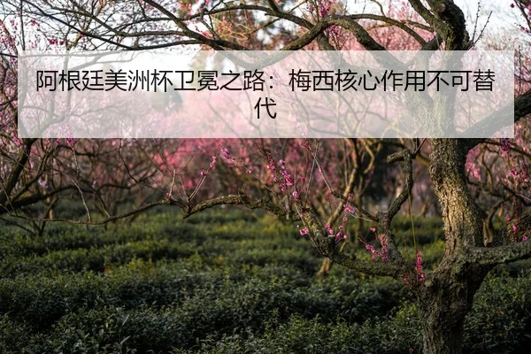 阿根廷美洲杯卫冕之路：梅西核心作用不可替代