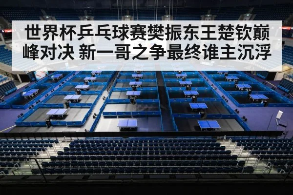 世界杯乒乓球赛樊振东王楚钦巅峰对决 新一哥之争最终谁主沉浮